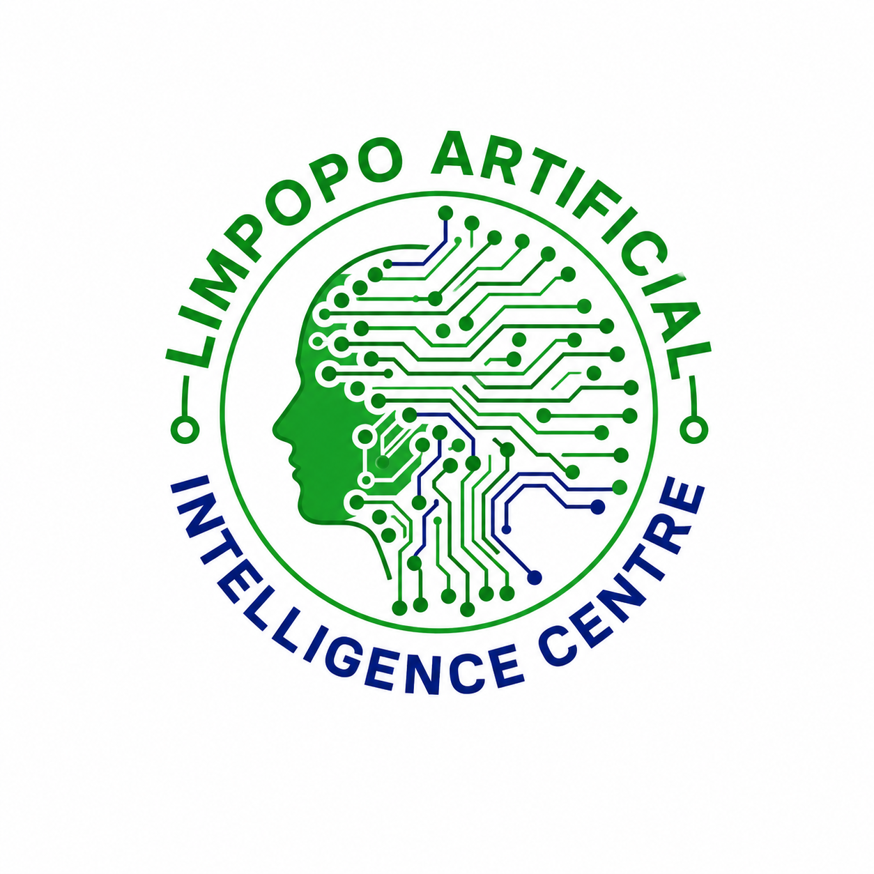 Limpopo Artificial Intelligence Centre